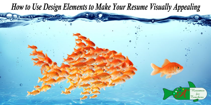 how to use design elements to make your resume visually appealing